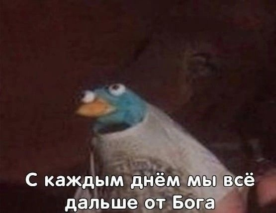 1723322096174.webp