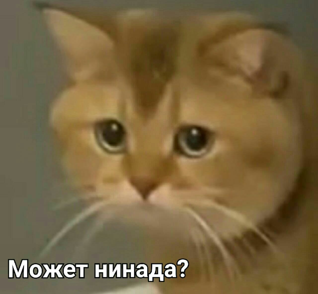 1723629698121.webp