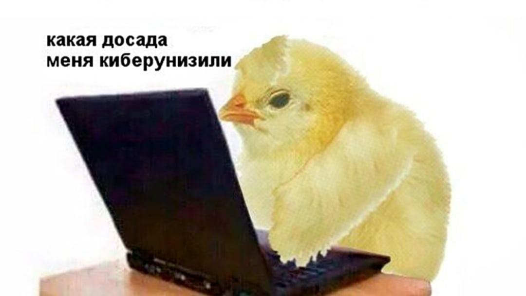 1723647993859.webp
