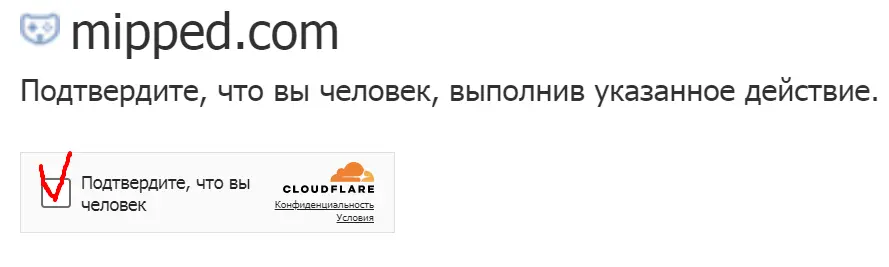 1723718538217.webp