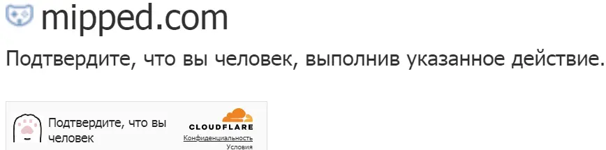 1723718806820.webp