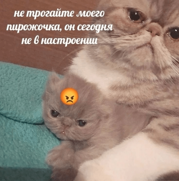 1723822031148.webp