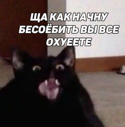 1723829573619.webp
