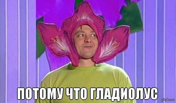 1723897989385.webp