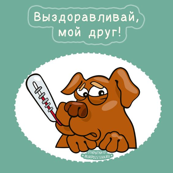 1723916305387.webp
