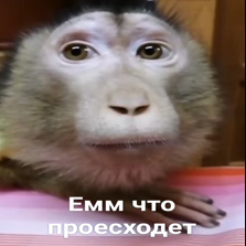 1724322935334.webp