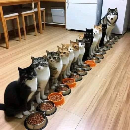 1724332637168.webp