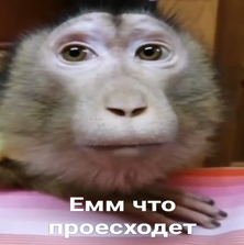 1724346910737.webp