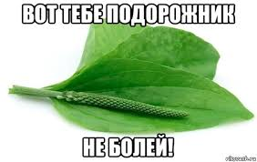 1724443787630.webp