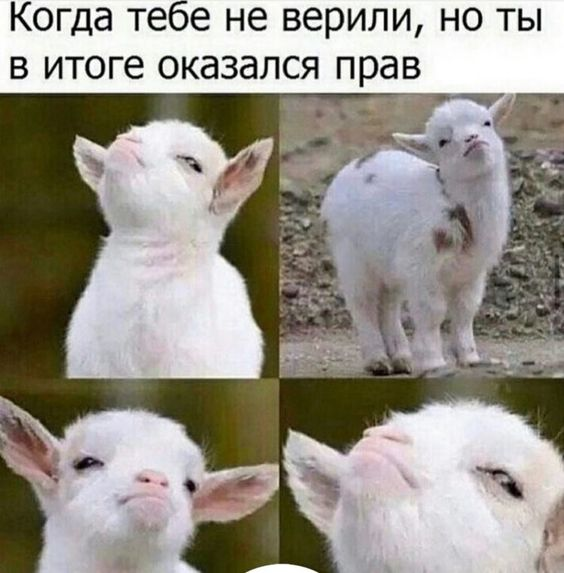 1724521237460.webp