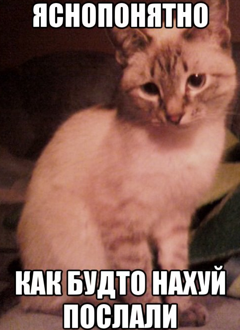 1724941474004.webp