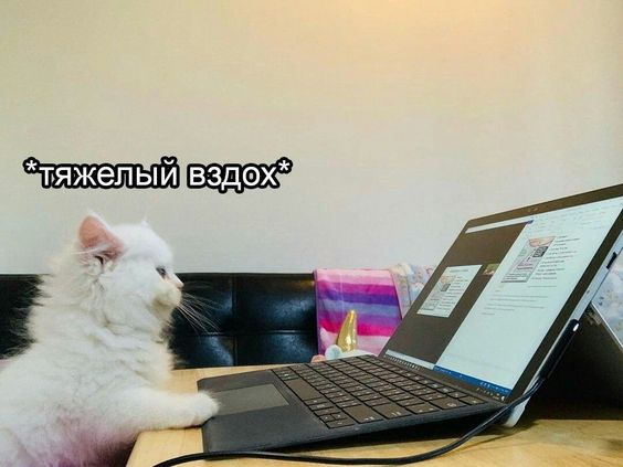 1725030437640.webp