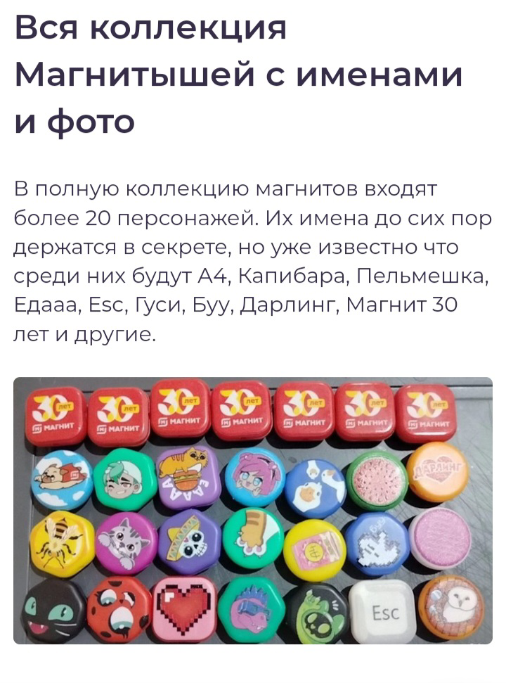 1725348619508.webp