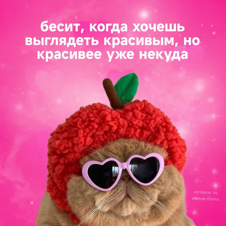 1725744843279.webp