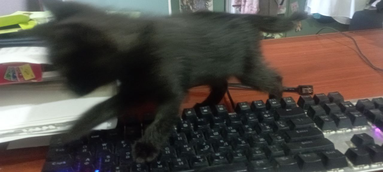 1725906382518.webp