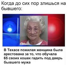 1726141006879.webp