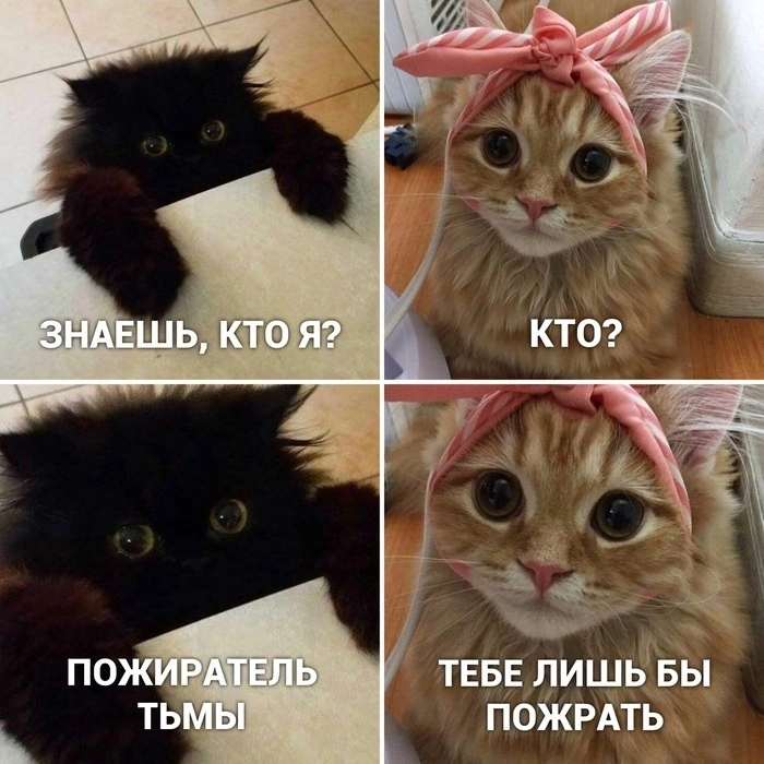1726166757931.webp