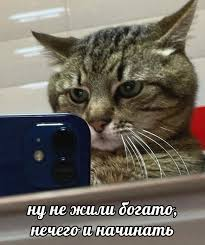 1726171992304.webp