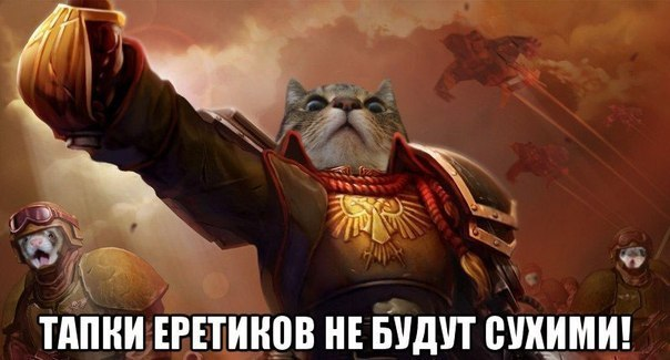 1726219622102.webp