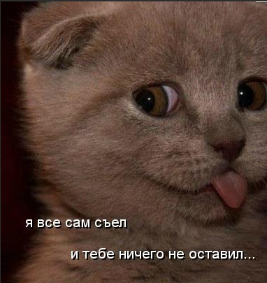 1726316559878.webp