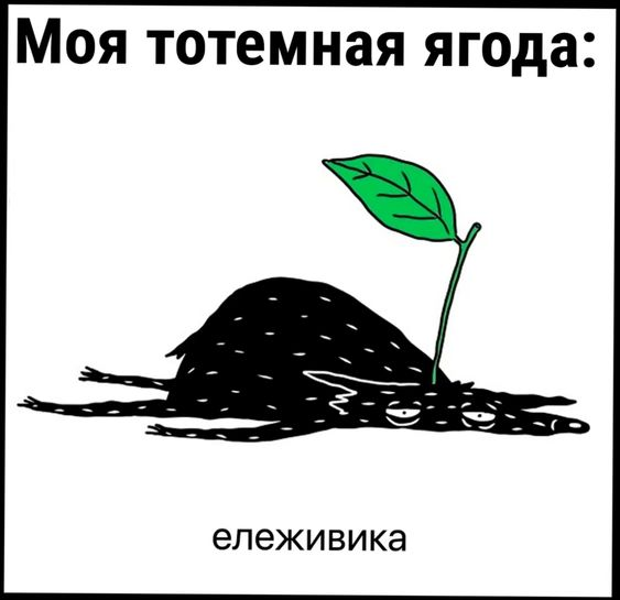 1726328533332.webp