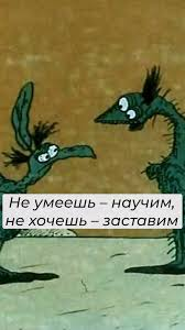 1726486428538.webp