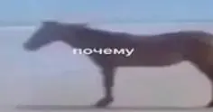1726565454416.webp