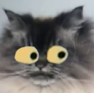 1726686446560.webp