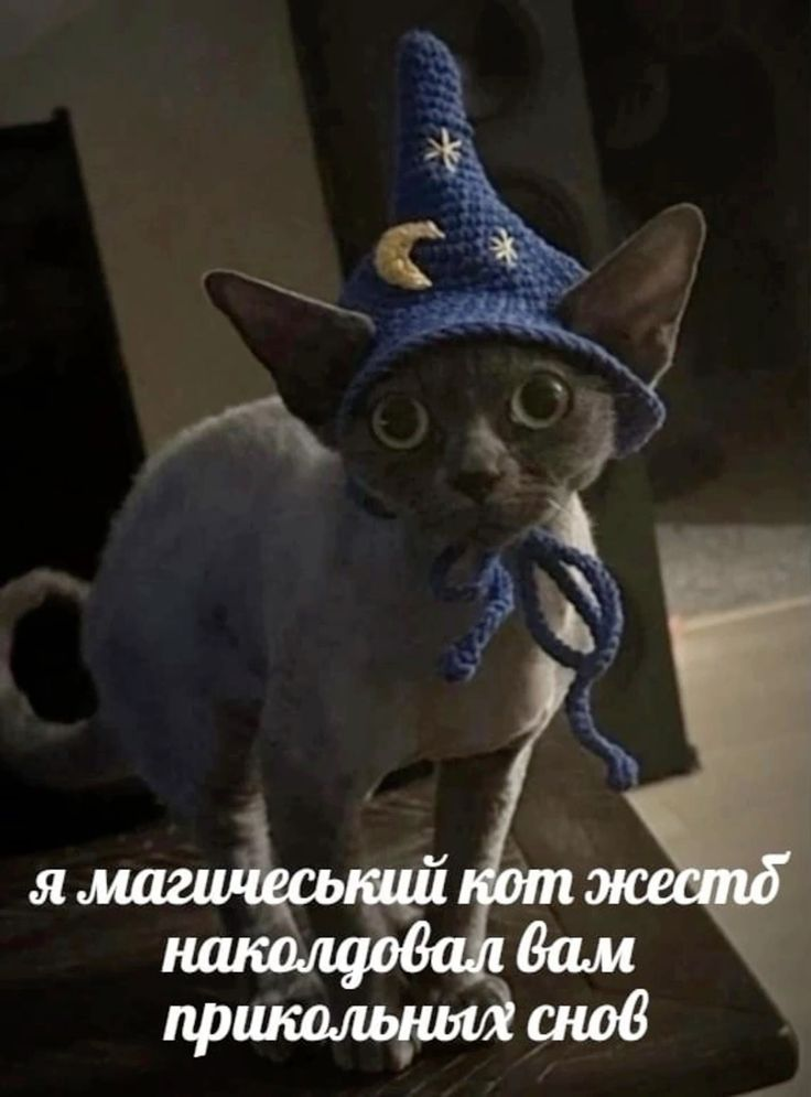 1726694374670.webp