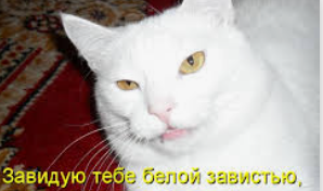 1727028059962.webp