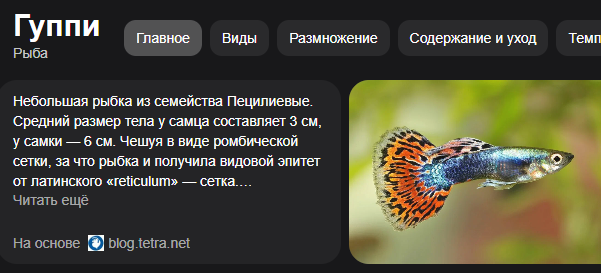 1727124911477.webp