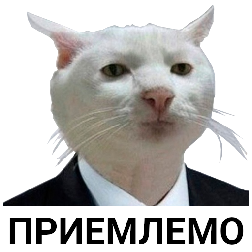 1727468440281.webp