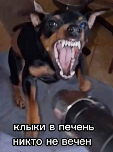 1727816521295.webp