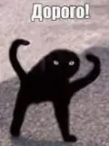 1727942850990.webp