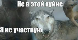 1728231057186.webp
