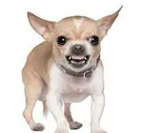 1728558706509.webp
