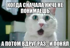 1728600242733.webp