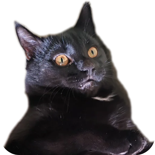 1728928340588.webp