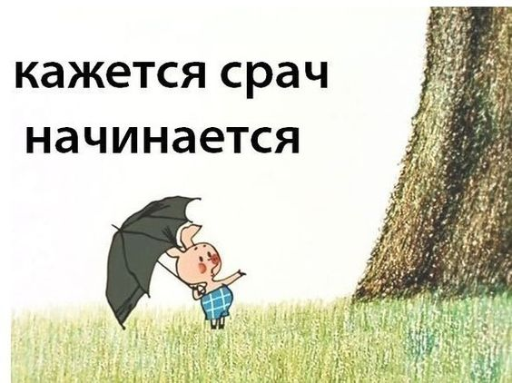 1729375685450.webp