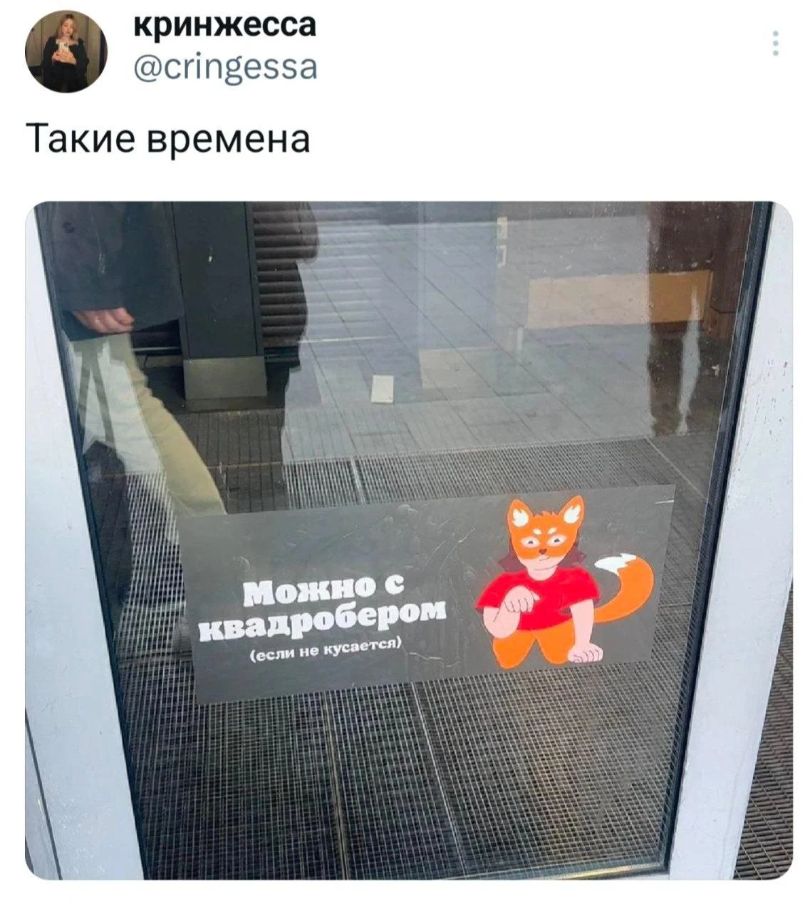 1729606097114013601.webp