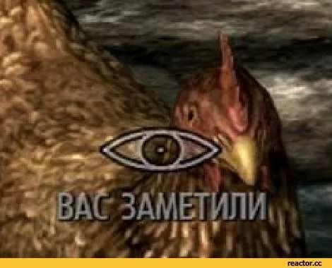 1729689729472.webp