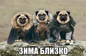 1729864867326.webp