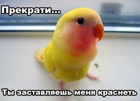 1729869505534.webp