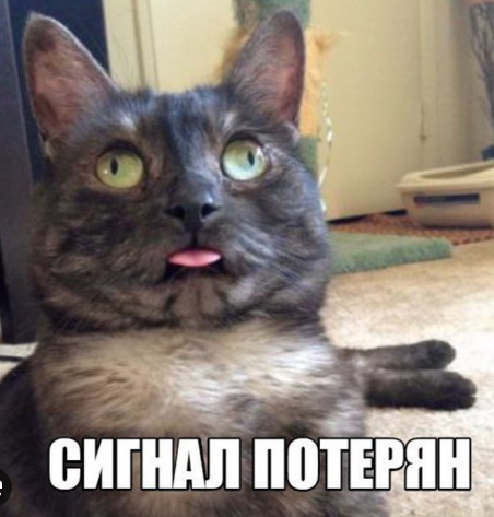 1729946906848.webp