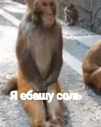 1730043499509.webp