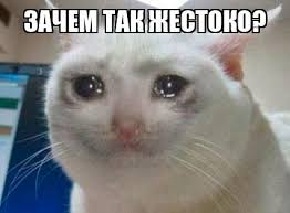 1730297487914.webp