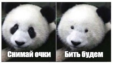1730380803872.jpeg
