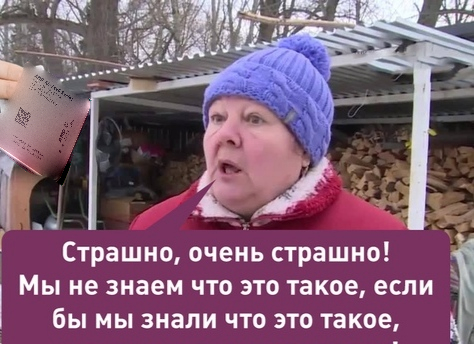 1730545523827.webp
