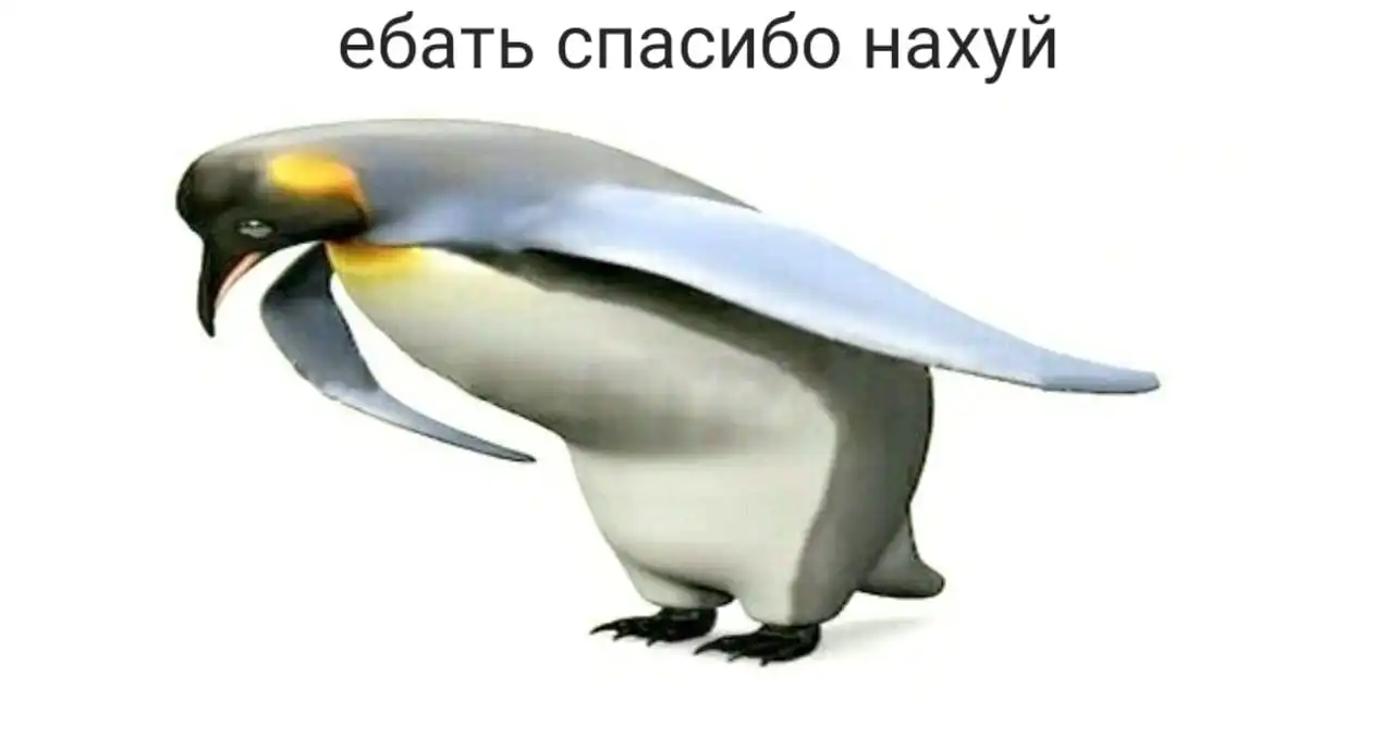 1730571473713.webp