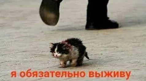1730791074111.webp